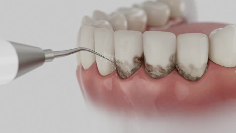 Reliable Dental contractor in Davison, MI by Dentist Open Now